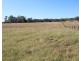 919 Cedar Party Road, Cedar Party NSW 2429