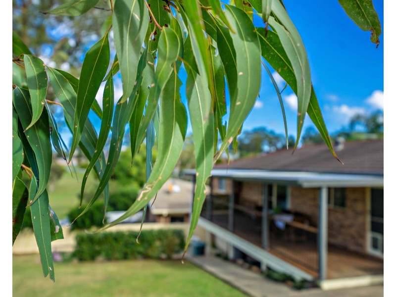 8 Coorong Place, Taree NSW 2430