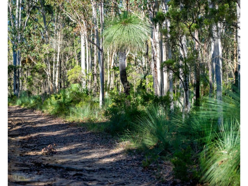 920 Cedar Party Road, Cedar Party NSW 2429