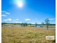 Cedar Party NSW 2429