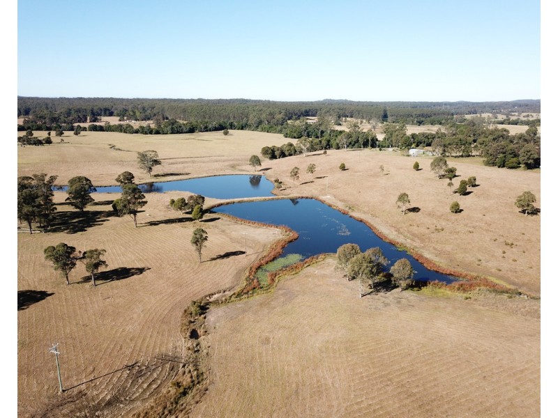 Cedar Party NSW 2429