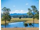 Cedar Party NSW 2429
