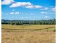 Cedar Party NSW 2429