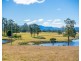 Cedar Party NSW 2429