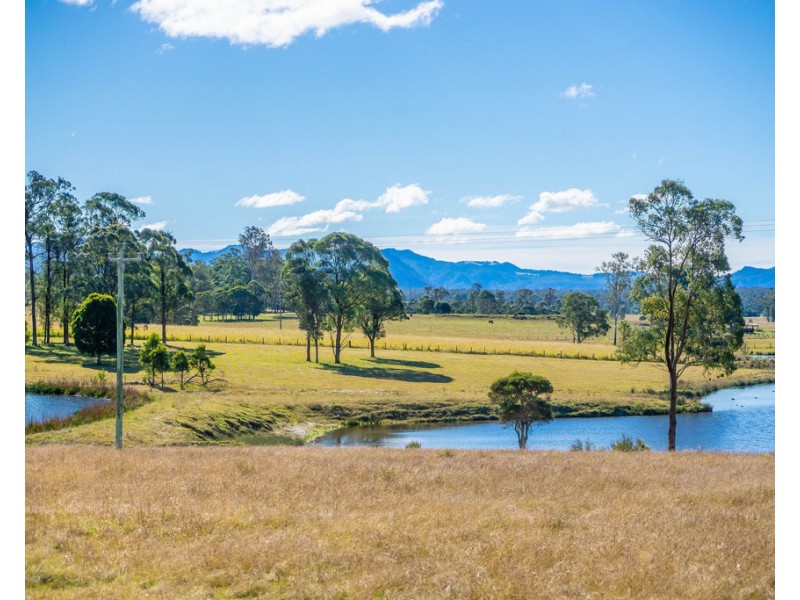 Cedar Party NSW 2429