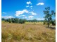 Cedar Party NSW 2429