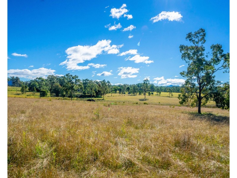 Cedar Party NSW 2429