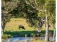 Cedar Party NSW 2429