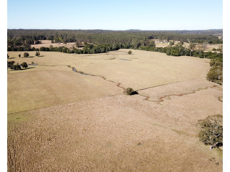 Cedar Party NSW 2429