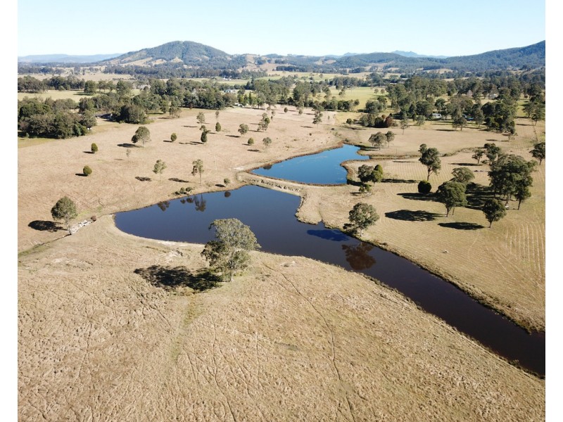 Cedar Party NSW 2429