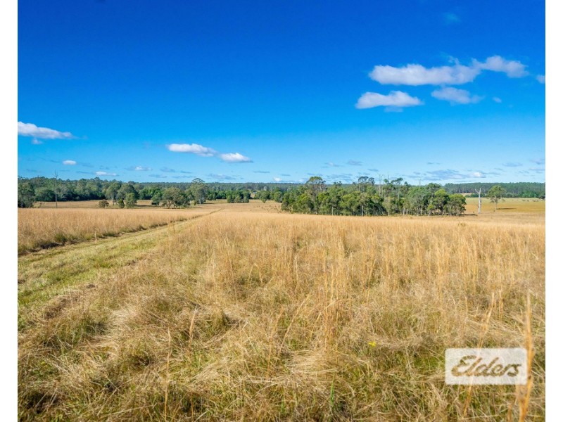 Cedar Party NSW 2429