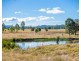 Cedar Party NSW 2429
