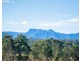 Cedar Party NSW 2429