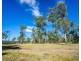 Cedar Party NSW 2429