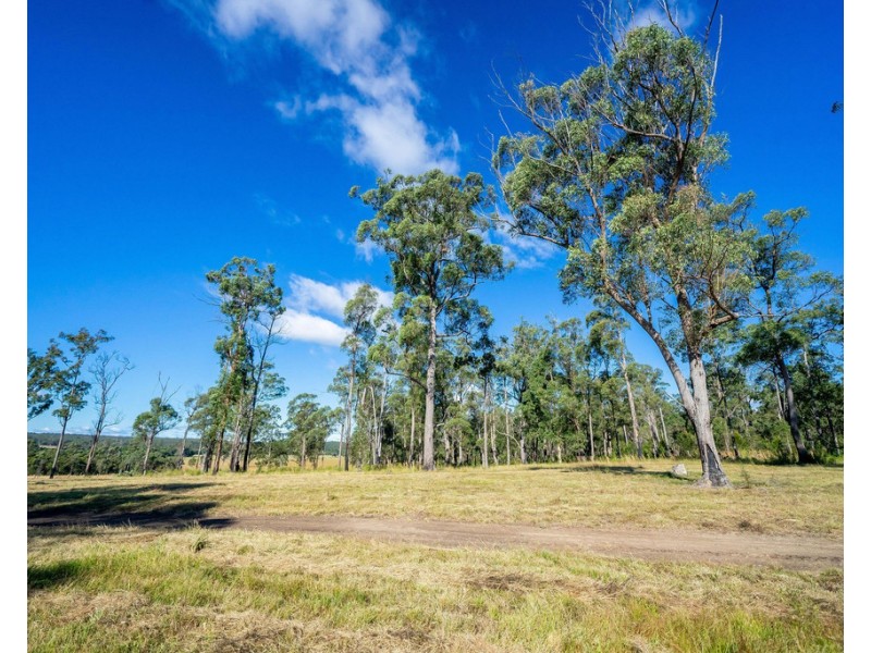 Cedar Party NSW 2429