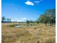 Cedar Party NSW 2429