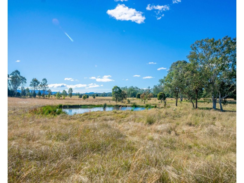 Cedar Party NSW 2429