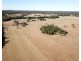 Cedar Party NSW 2429