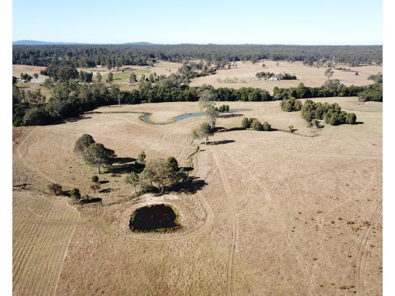 Cedar Party NSW 2429