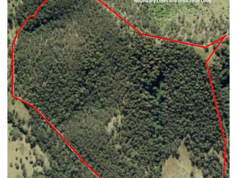 Burrell Creek NSW 2429