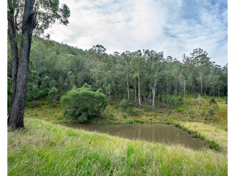 Burrell Creek NSW 2429