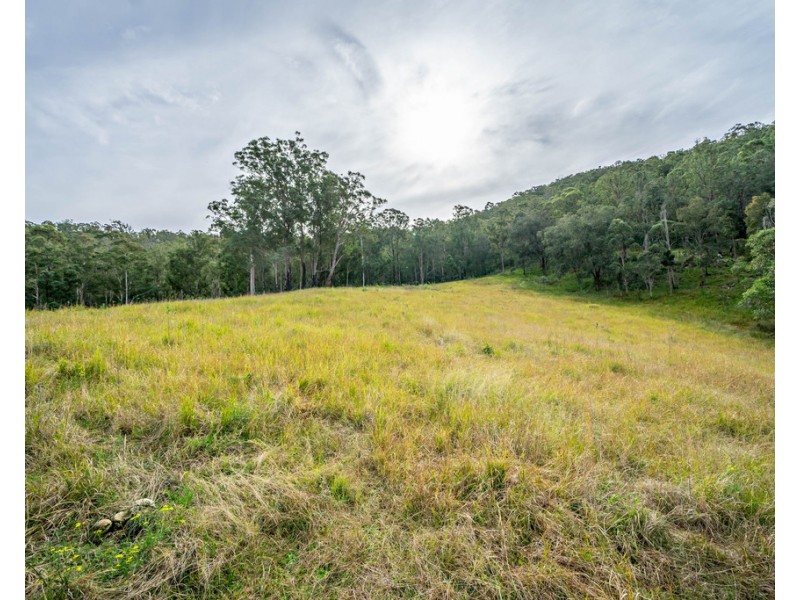 Burrell Creek NSW 2429