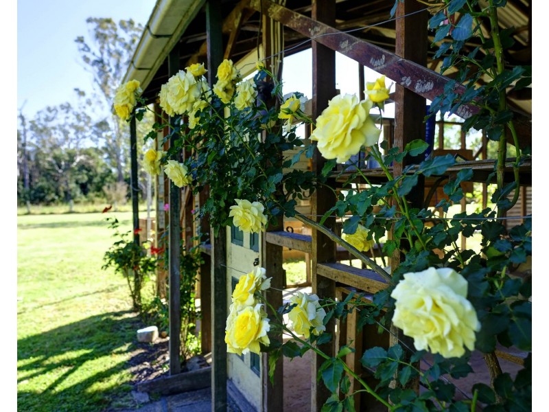 69 North Queen Street, Wingham NSW 2429