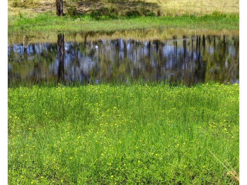 450 Bootawa Road, Bootawa NSW 2430