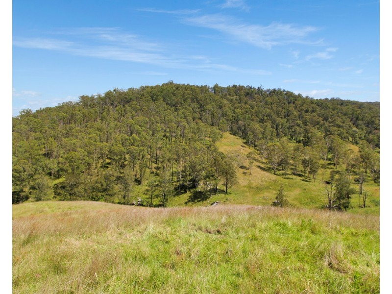 Cooplacurripa NSW 2424