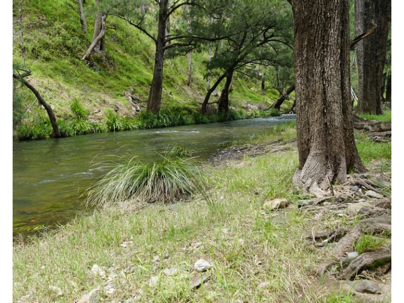 Cooplacurripa NSW 2424