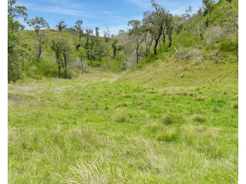 Cooplacurripa NSW 2424