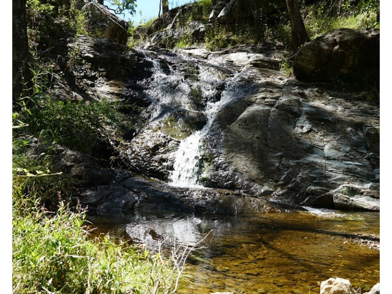 Cooplacurripa NSW 2424