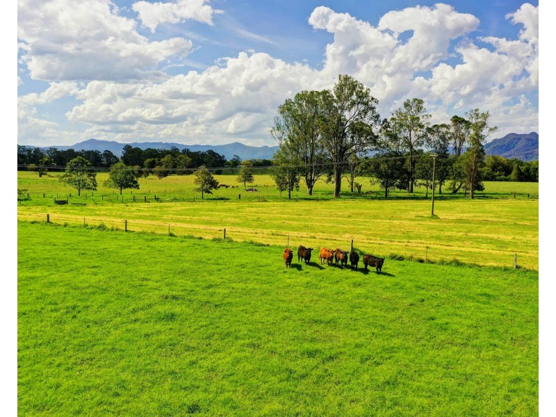 320 Warrens Lane, Lansdowne NSW 2430