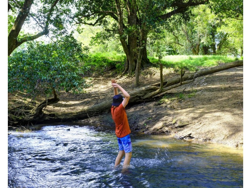 320 Warrens Lane, Lansdowne NSW 2430