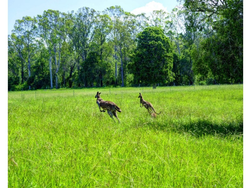 320 Warrens Lane, Lansdowne NSW 2430