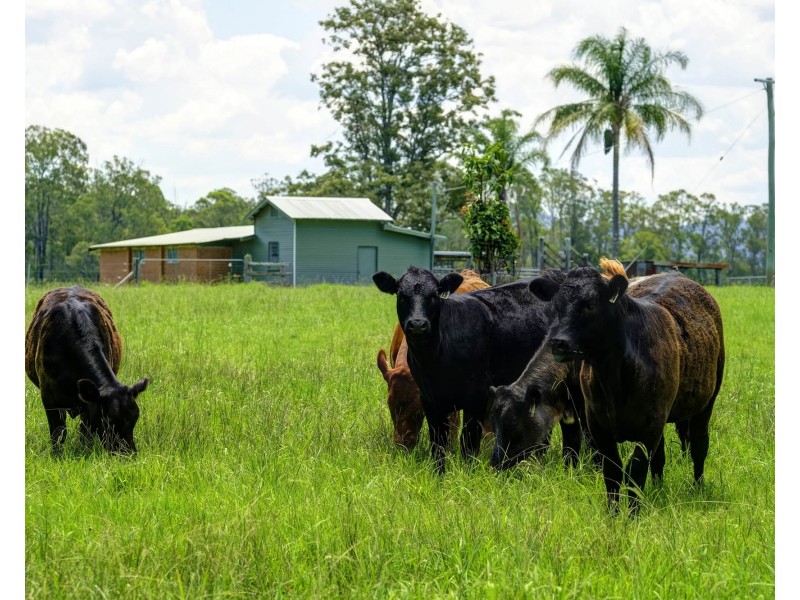 320 Warrens Lane, Lansdowne NSW 2430