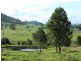 Wingham NSW 2429