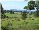 Wingham NSW 2429