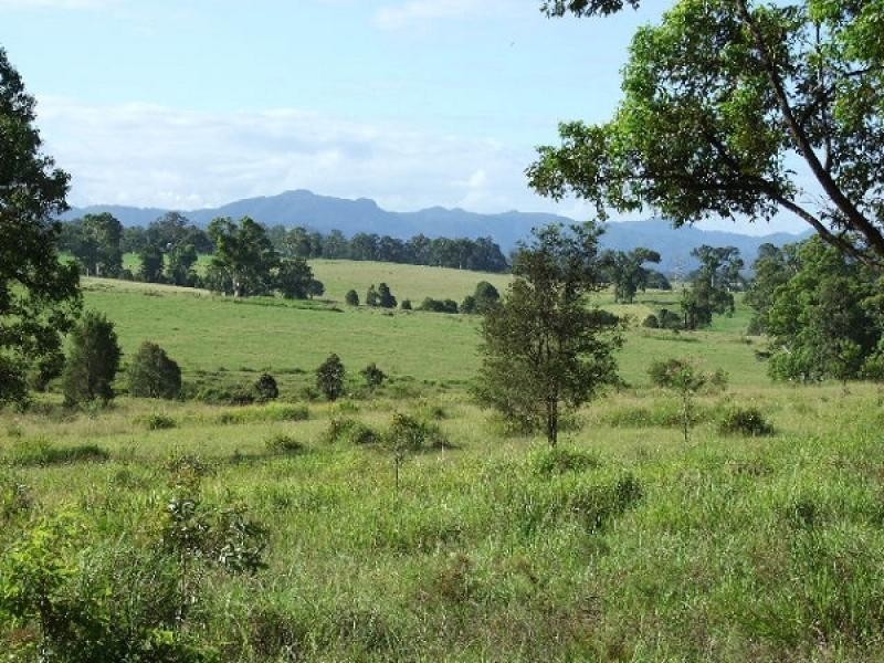 Wingham NSW 2429
