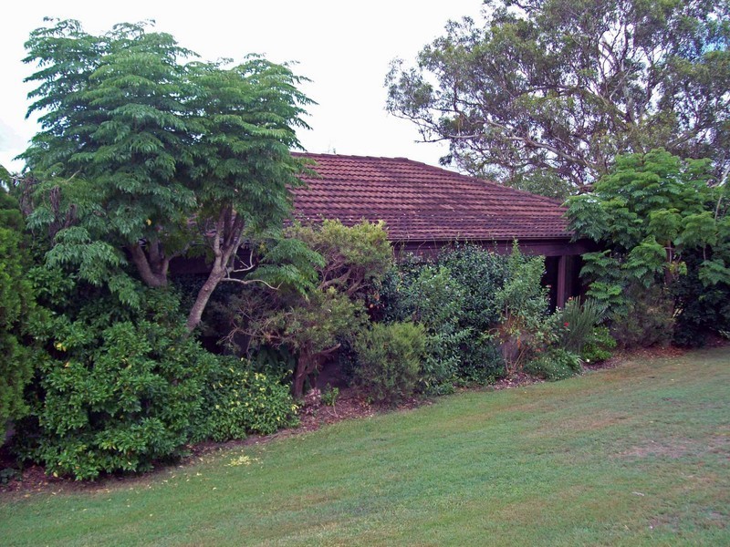 264 Wingham Road, Taree NSW 2430