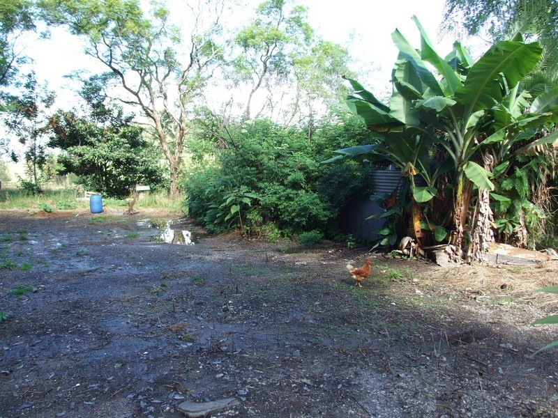 Moorland NSW 2443