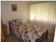 Wingham NSW 2429