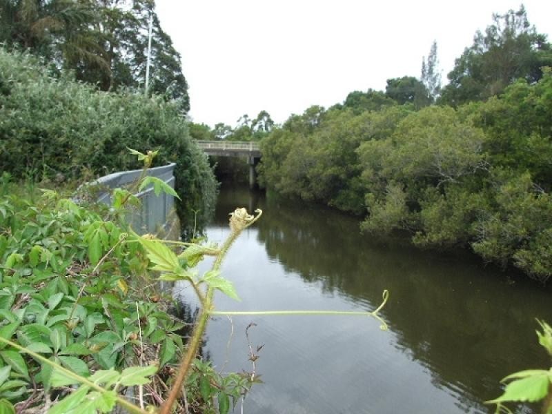 Taree NSW 2430