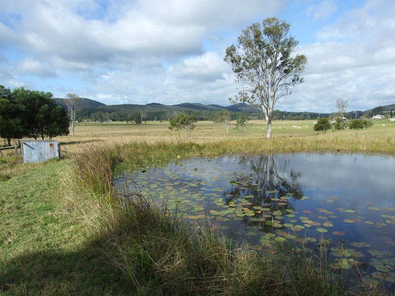 Lot 21 Pacific Highway, Coolongolook NSW 2423