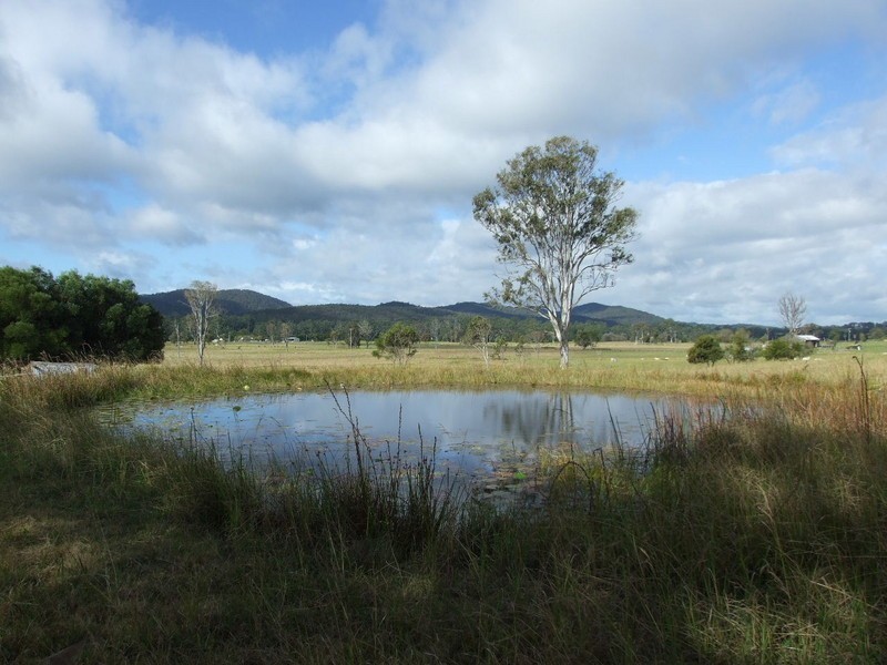 Lot 21 Pacific Highway, Coolongolook NSW 2423