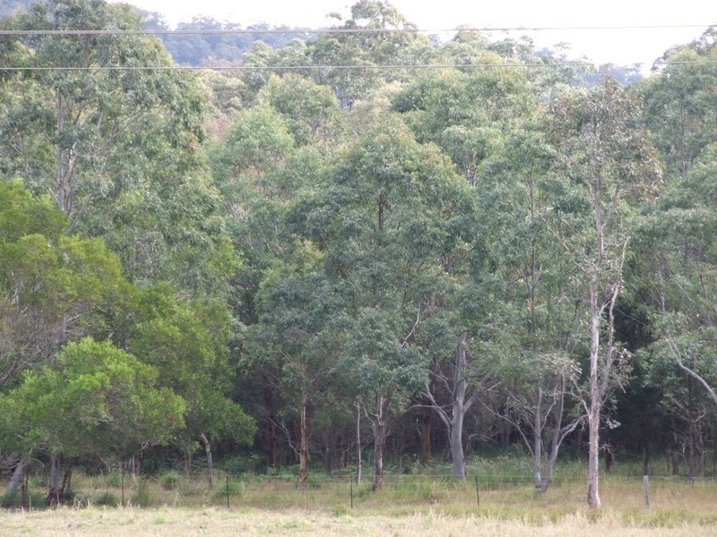 Lot 101 Kennedy’s Gap Road, Coolongolook NSW 2423