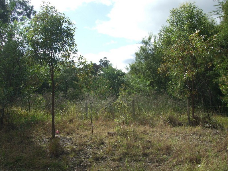 Lot 102 Kennedy”s Gap Road, Coolongolook NSW 2423