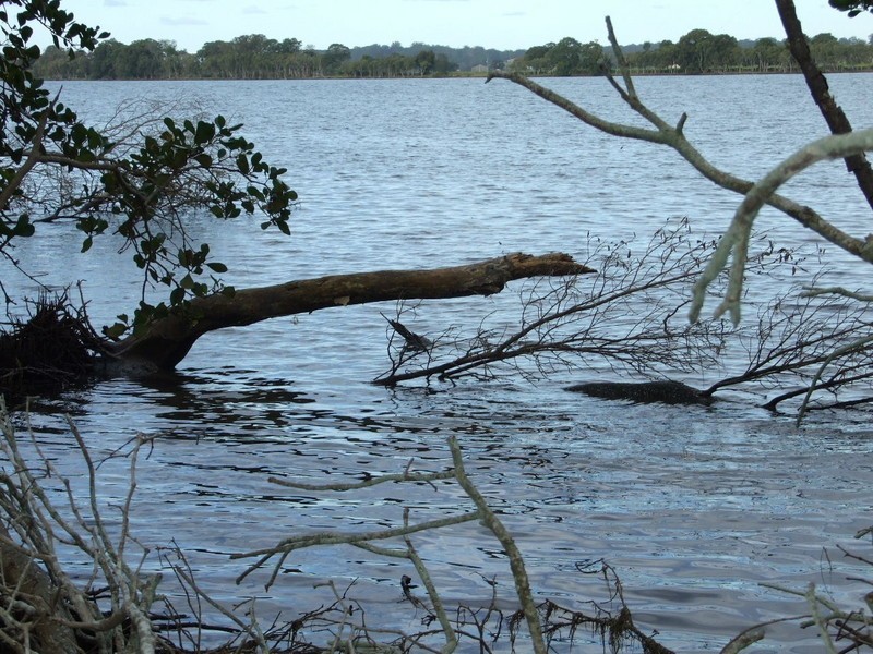 Jones Island NSW 2430