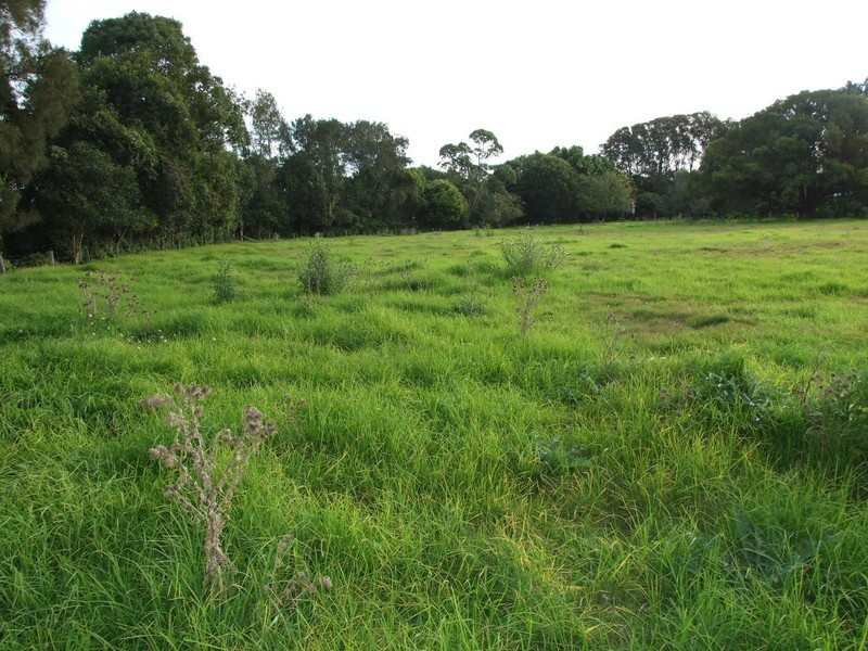 Jones Island NSW 2430