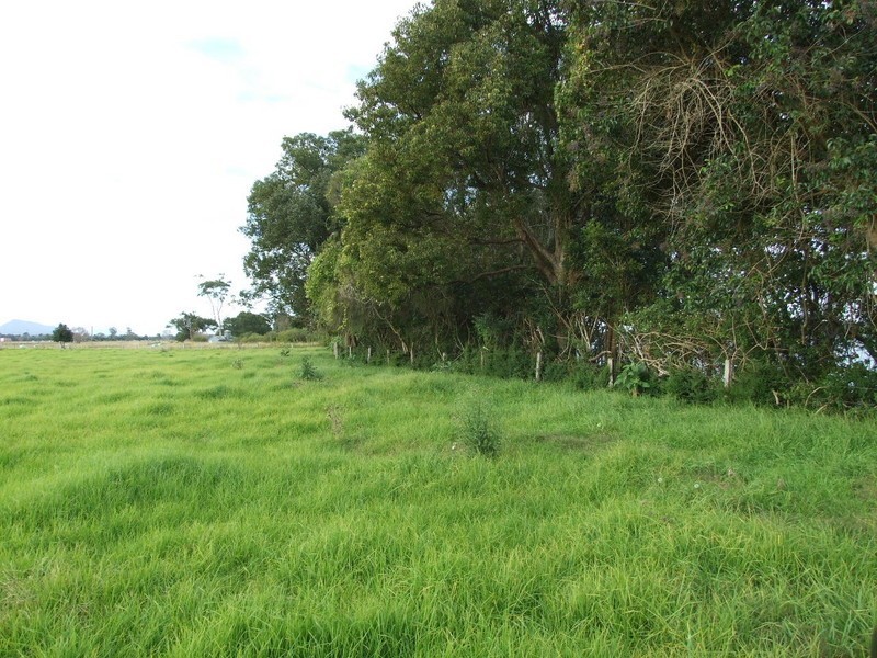 Jones Island NSW 2430